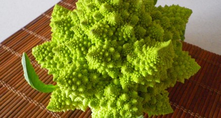 Fractale ou choux romanesco ?