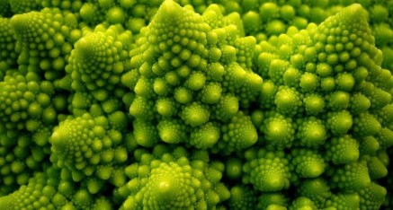 Le choux romanesco, une fractale naturelle