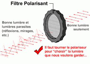 polarisant